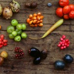 Nutri Truck Menu